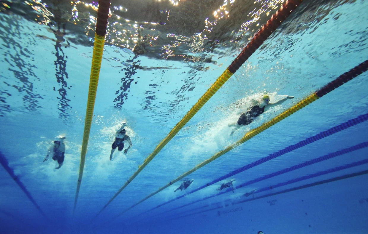 World Aquatics annonce des courses de natation en catégorie ouverte inclusives pour les concurrent·e·s transgenres