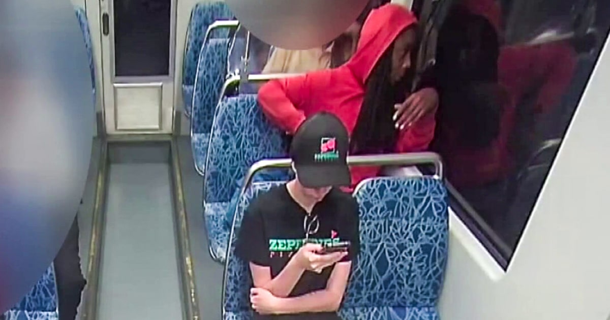 Suspect du meurtre dans un train déclaré inapte à être jugé